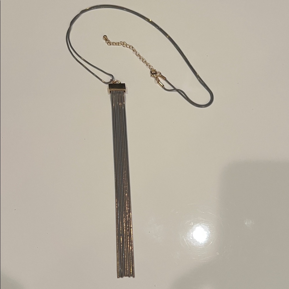 Elegant Gold and Silver Long Tassel Necklace